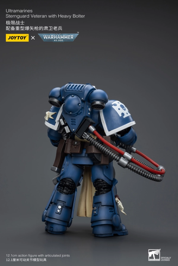 WARHAMMER 40K Ultramarines Sternguard Veteran with Heavy Bolter Modern Icon