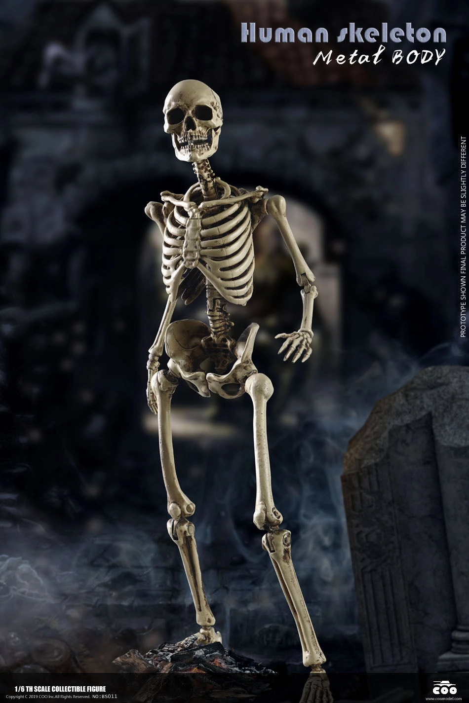 Competition Entry Coomodel The Human Skeleton (Diecast Alloy) 1/6 Scale