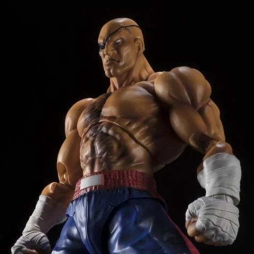 Gaming Collection Interactive Exhibit Tamashii Nations S.H.Figuarts STREET FIGHTER V SAGAT