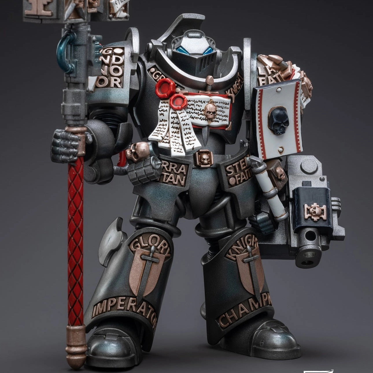 WARHAMMER 40K Grey Knights Terminator Caddon Vibova Miniature Showcase
