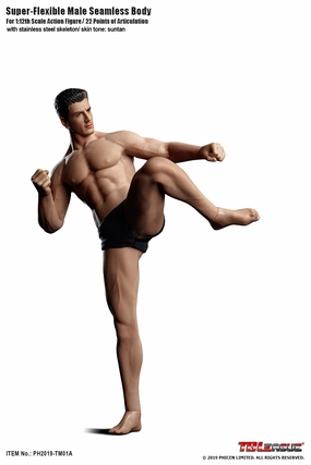 Phicen TBLeague TM01A Male Seamless 1/12 Action Figure Robot Item Timeless Treasure