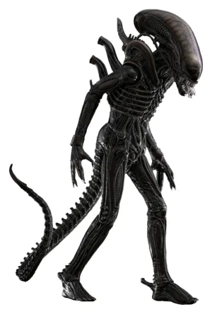 Hot Toys Big Chap - Alien (1979) - MMS826 - 1/6 Scale Collectible Figure Premium Showcase