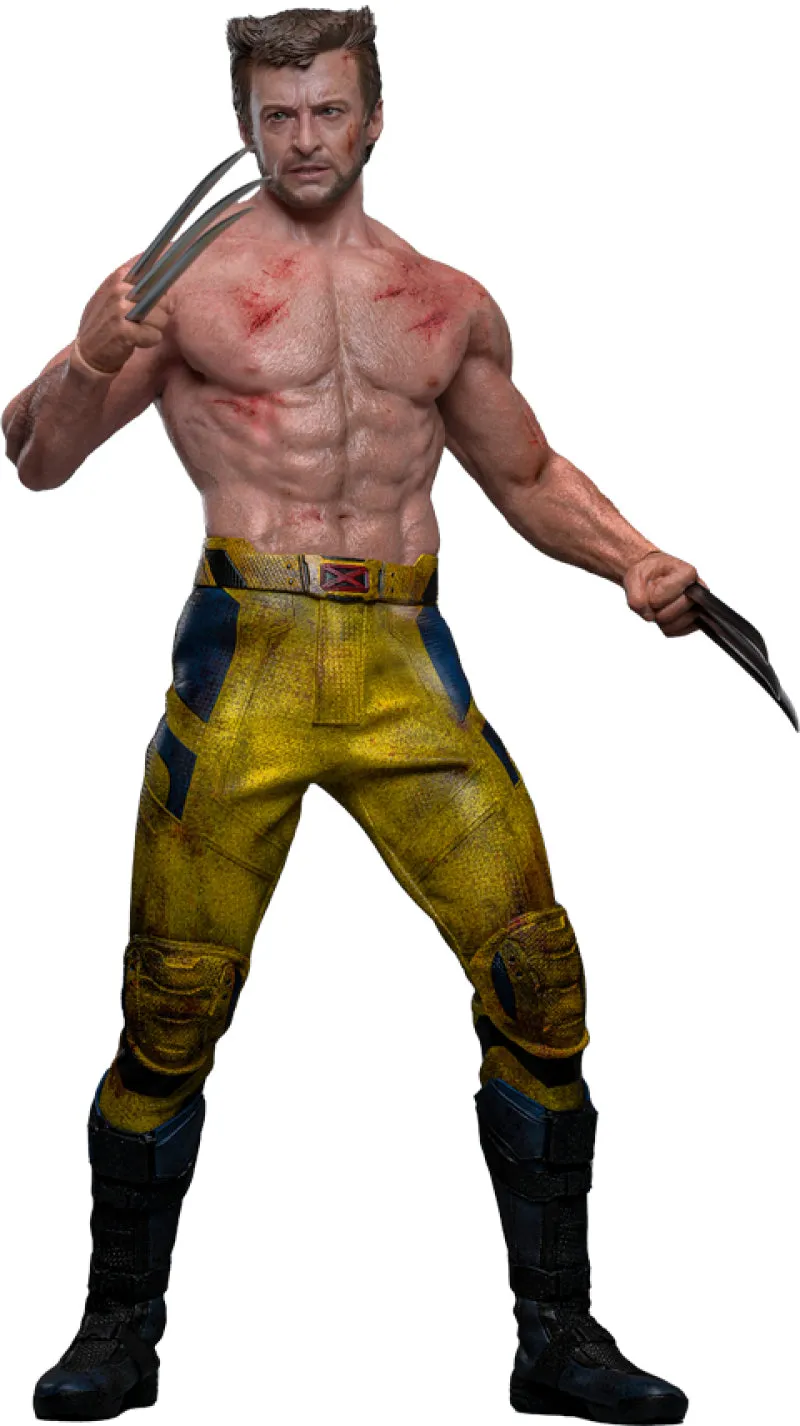 Hot Toys Wolverine (TVA Jacket Version) - Deadpool & Wolverine - MMS756 - 1/6 Scale Collectible Figure Disney Character