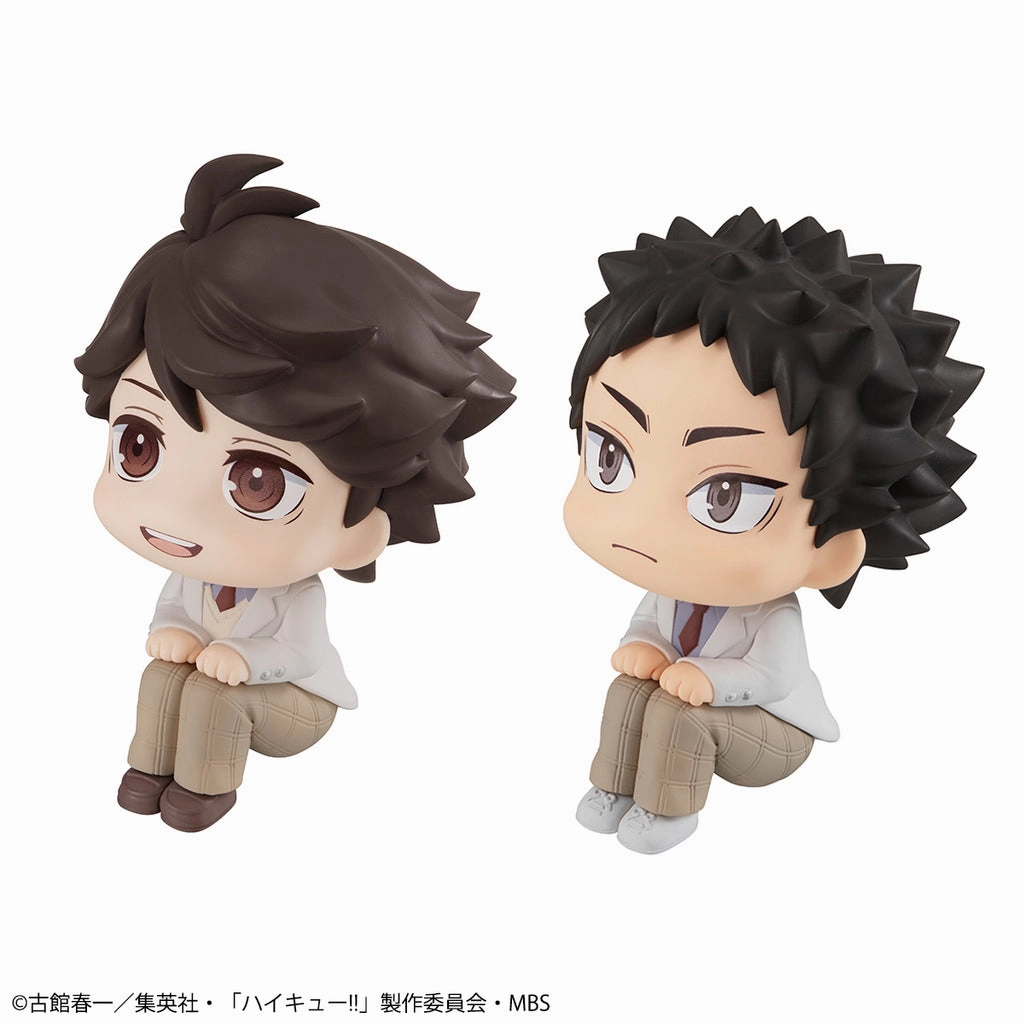 Wild Animal Lookup Haikyu Oikawa ?? Hajime Iwaizumi (with gift)