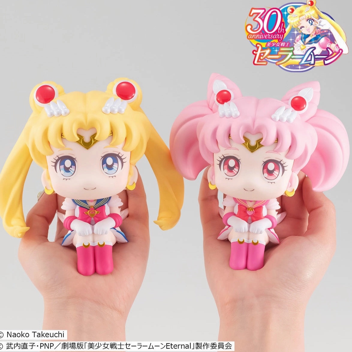 Science fiction Gaming Collectible Lookup Pretty Guardian Sailor Moon Super Sailor Moon & Super Sailor Chibi Moon (with gift))