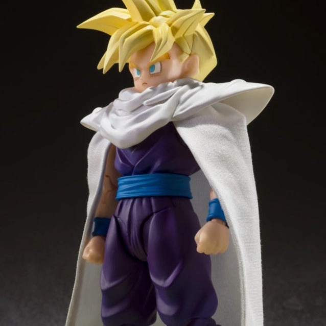 Anniversary Present Bookshelf Accent Super Saiyan Son Gohan The Warrior who Surpassed Goku "Dragon Ball Z" S.H.Figuarts