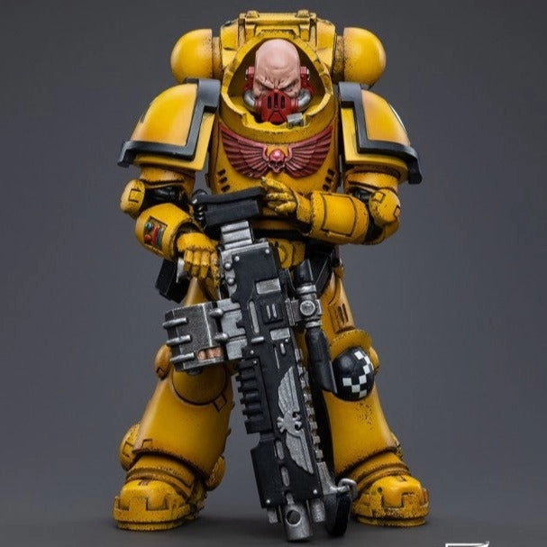 WARHAMMER 40K Imperial Fists Heavy Intercessors 02 Limited Article