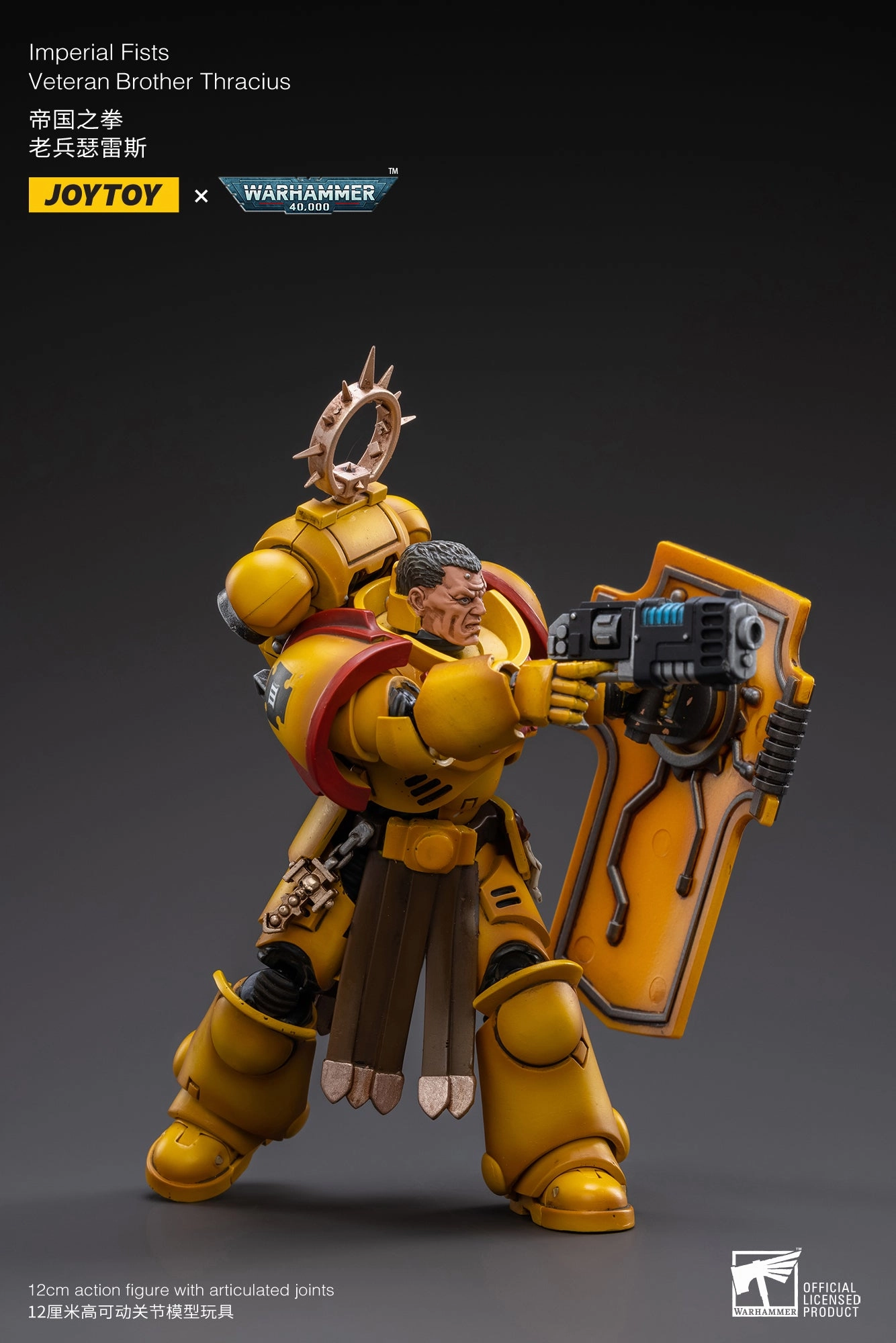 WARHAMMER 40K Imperial Fists Veteran Brother Thracius Art Collectible