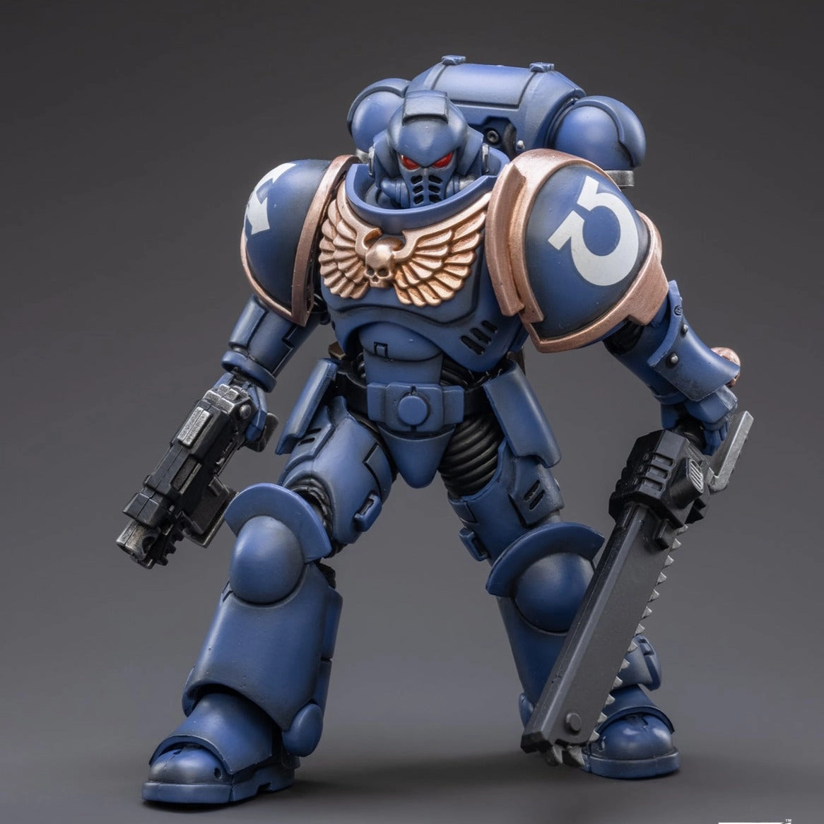 WARHAMMER 40K Space Marines Ultramarines Outriders Brother Catonus Collectible Collectible