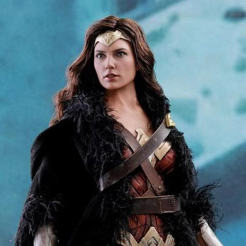 Hot Toys MMS451 Justice League - Wonder Woman (Deluxe Version) 1/6 Scale Action Figure Miniature Showcase